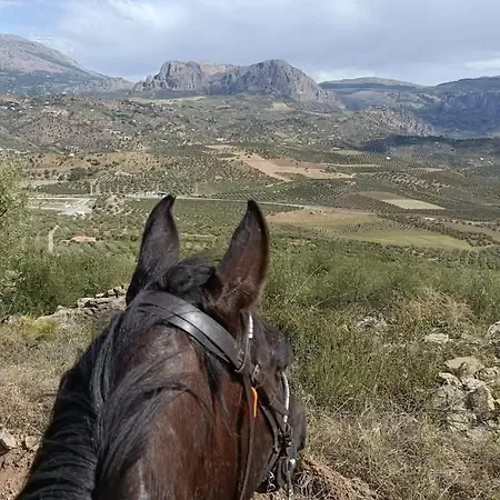 Feriehus Magic Mountain Retreat Comares